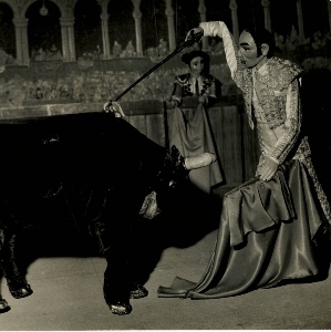 la corrida la corrida