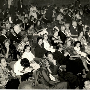 fotografia del pubblico che assiste a uno spettacolo