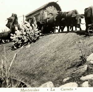 cartolina di Montevido -La Cerreta-